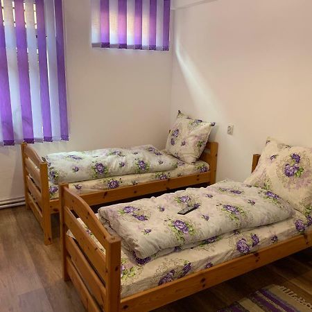 Pensiunea Casa Maria Cluj Napoca Bagian luar foto