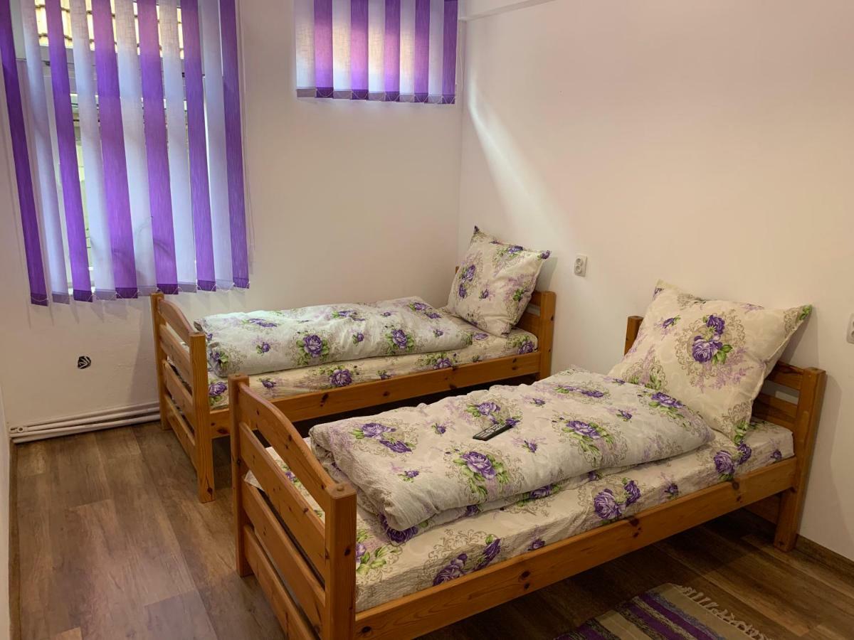 Pensiunea Casa Maria Cluj Napoca Bagian luar foto